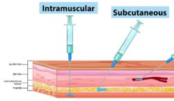 IVF Drugs Explained - 101 Fertility and IVF Medications List